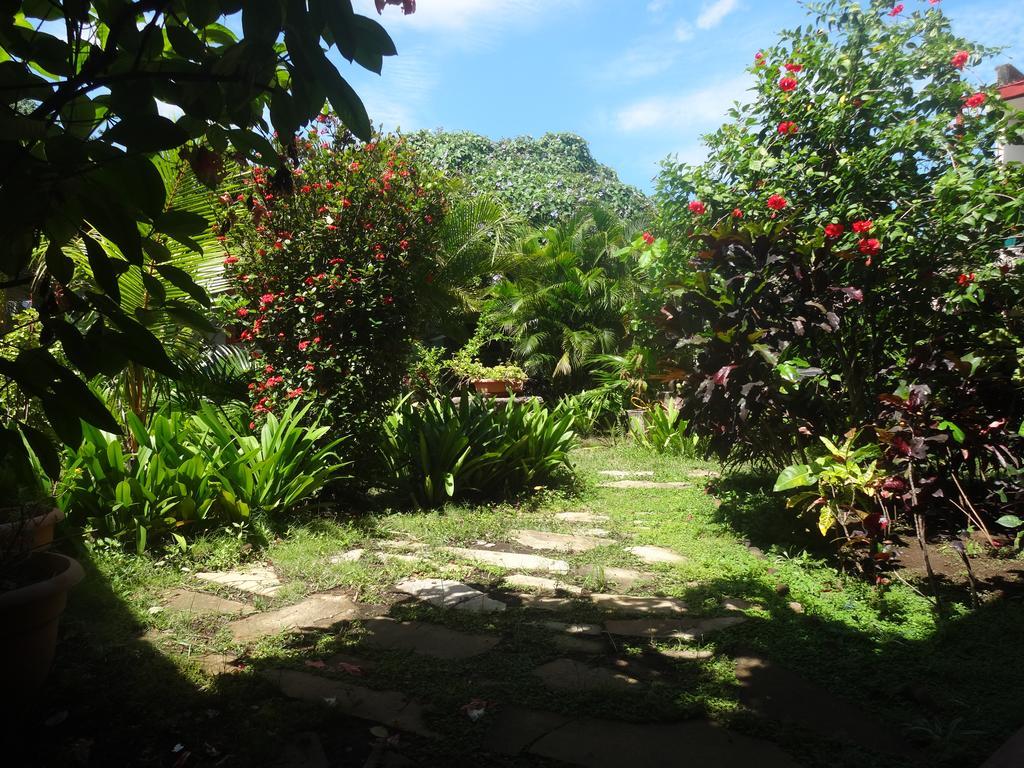 Harvest House Nicaragua Hotel León Esterno foto
