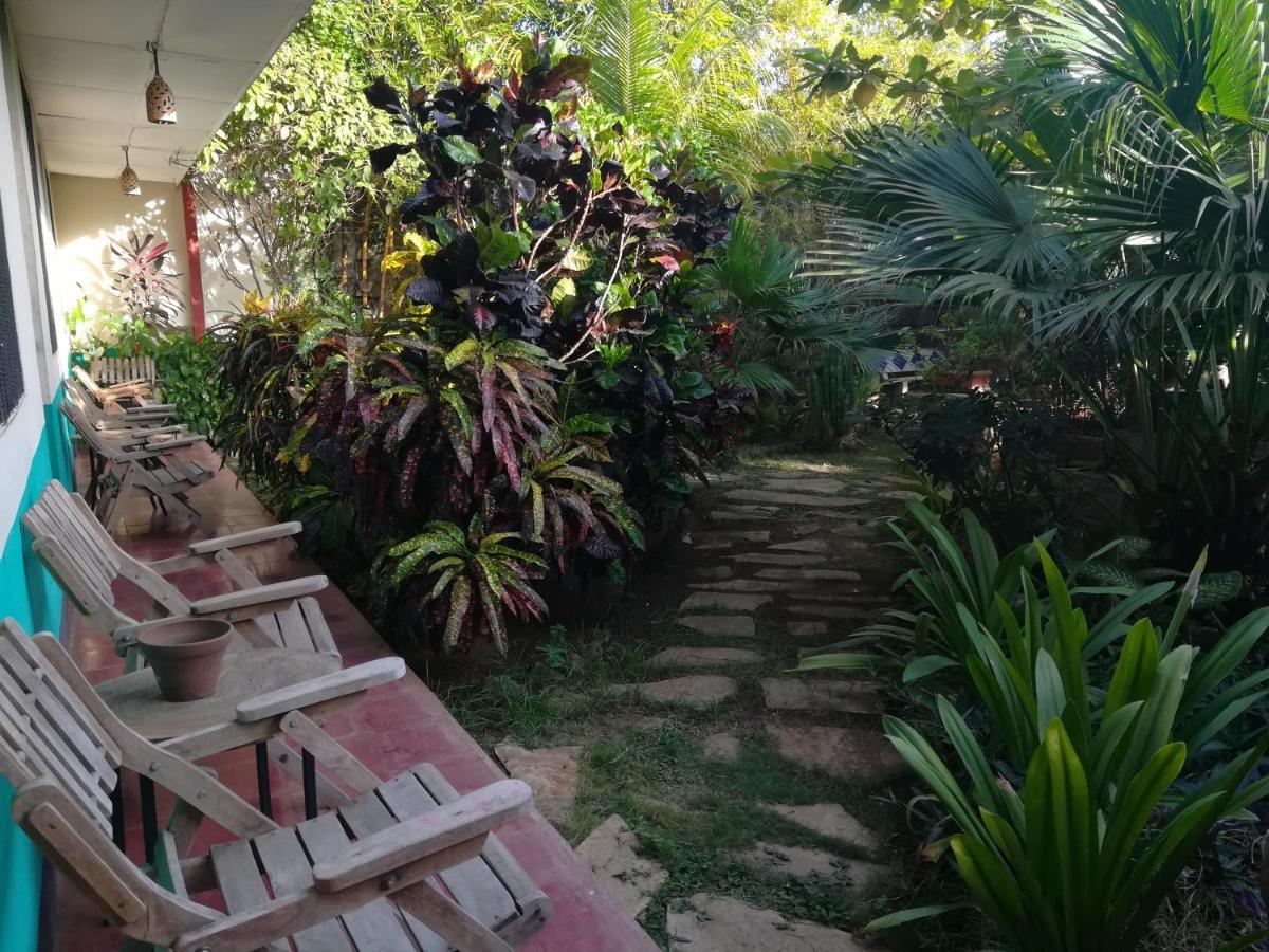 Harvest House Nicaragua Hotel León Esterno foto